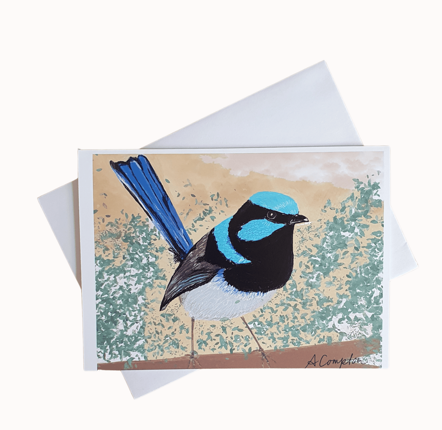 Blue Wren note card by Andrea Compton