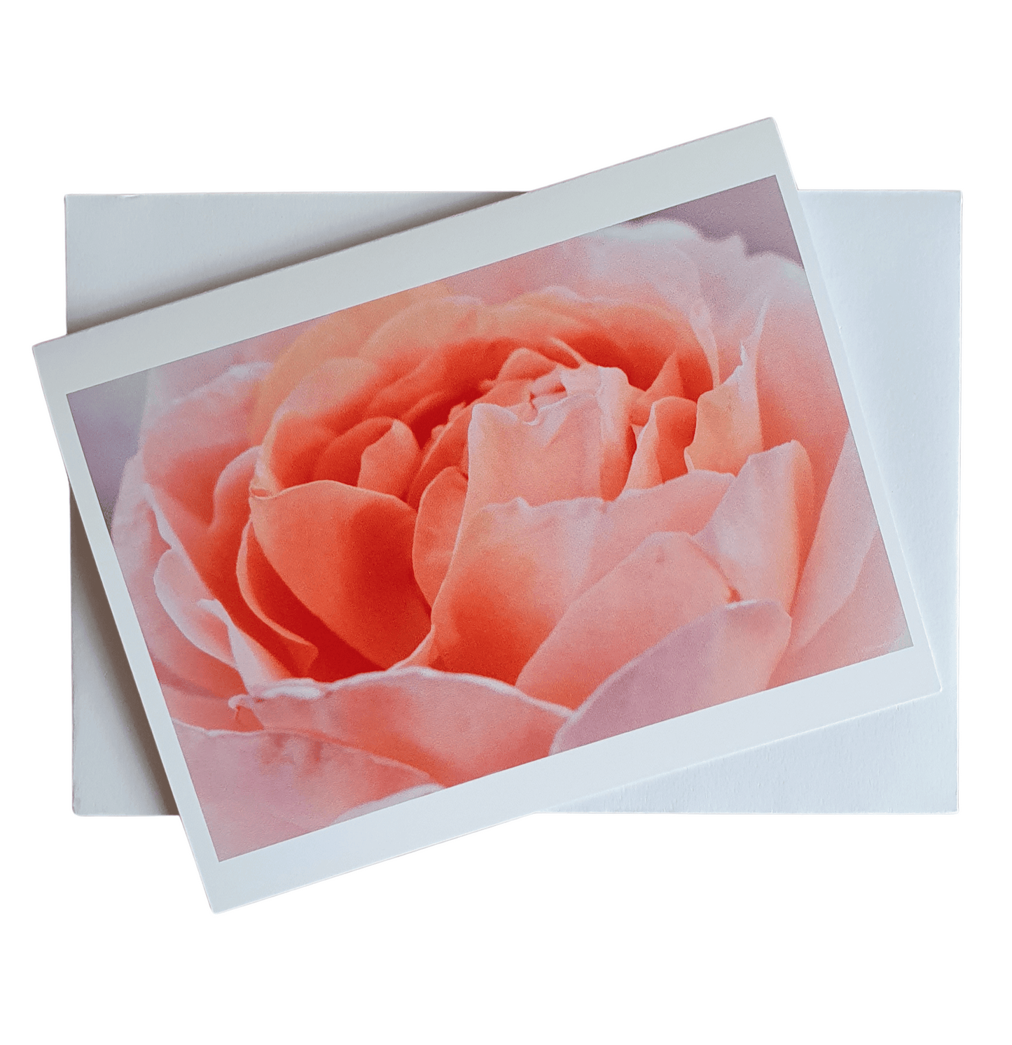 Heart of Roses ByLucindaJane