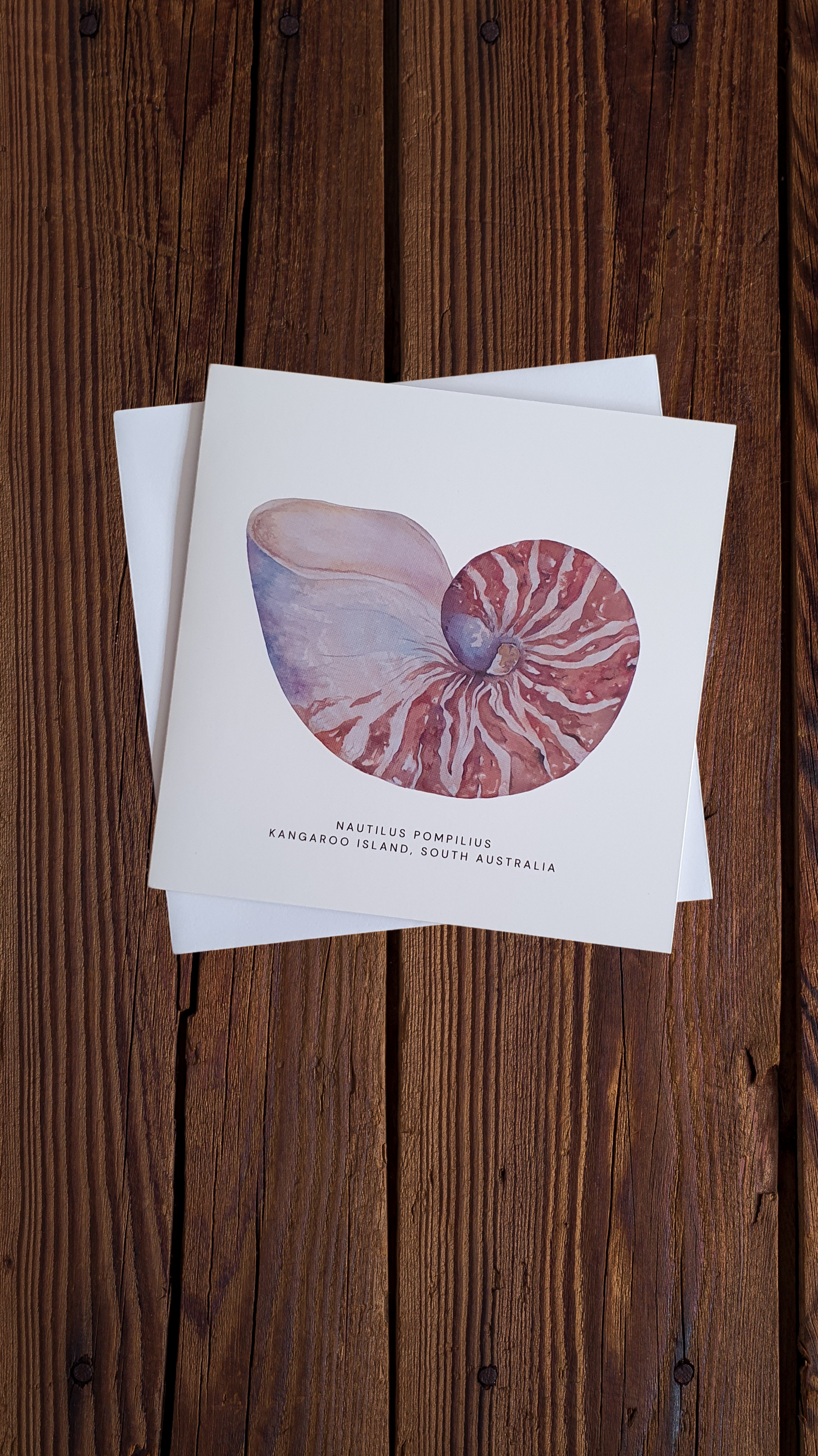 Nautilus Shell Note card by Ever&Del
